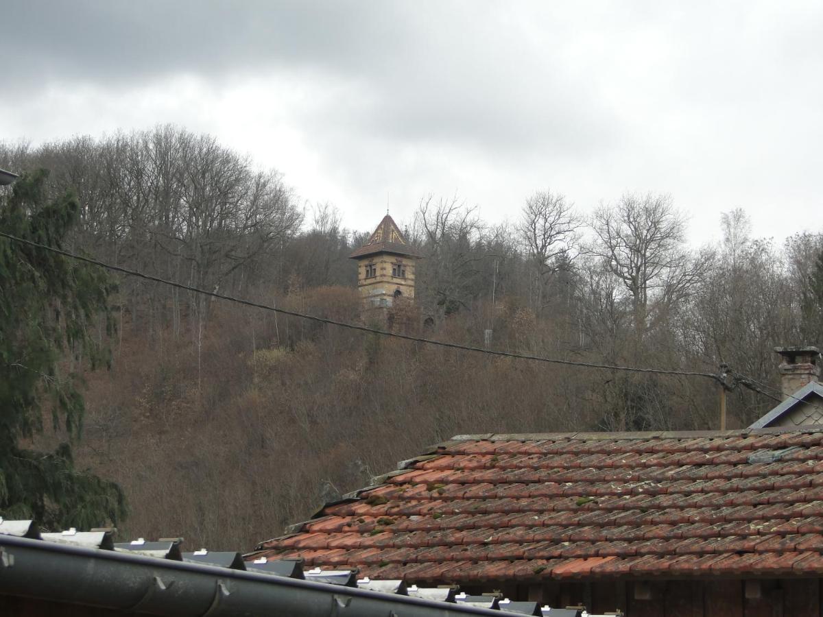 La Maison En Pain D'Epices Sainte-Marie-aux-Mines Kültér fotó